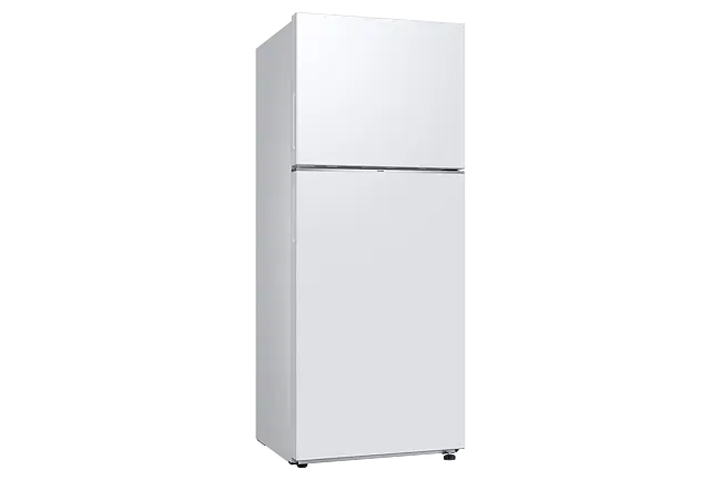 Refrigerator SAMSUNG RT38